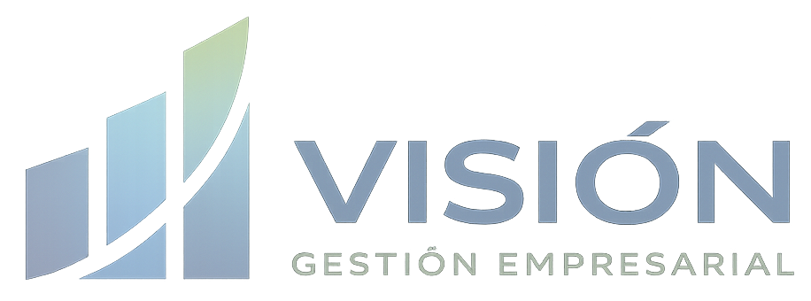 Vision Gestion Empresarial